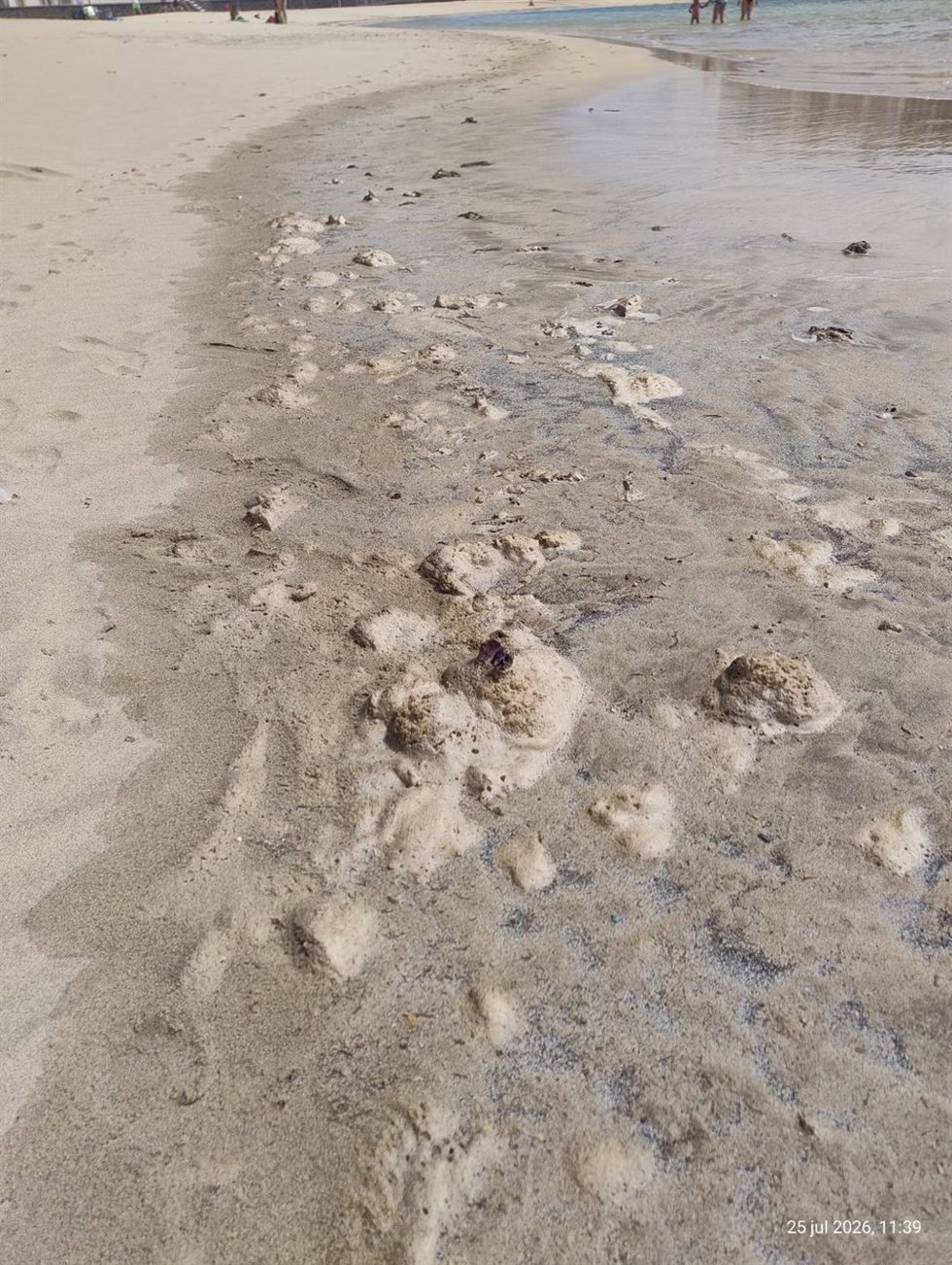 Contaminación en la zona de La Punta del Camello, junto al aliviadero del Consorcio del Agua de Lanzarote, Arrecife (Lanzarote)