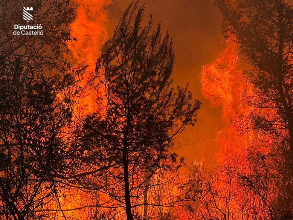 Incendio forestal declarado en la localidad castellonense de la Vall d'Uixó (CAstellón)