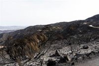 El Gobierno declara 13 zonas afectadas por emergencias de protección civil en Andalucía a causa de incendios forestales