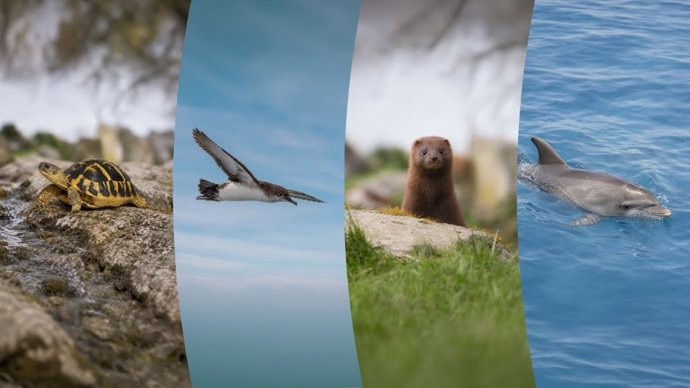 Especies animales amenazadas