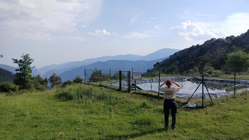 Una profesional del Plan de Información y Vigilancia (PVI) de la Diputación de Barcelona en un bosque