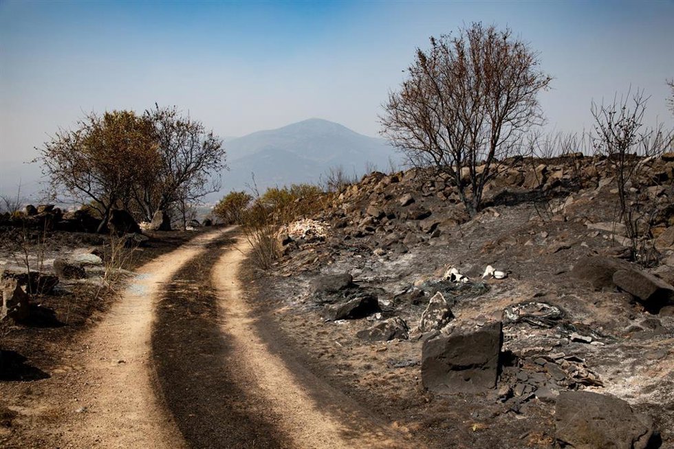 Terreno quemado  