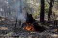 La mejora de la situación de los grandes incendios activos en España permite el fin de las restricciones en varias zonas