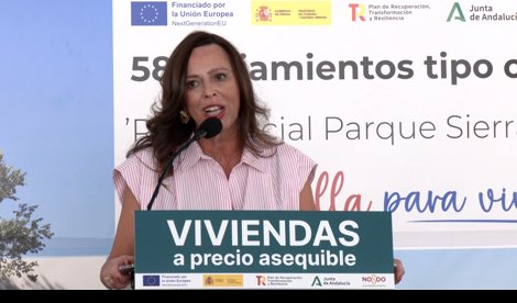Vídeos