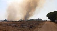Declarado un nuevo incendio forestal en Lucena del Puerto (Huelva), el segundo en 24 horas