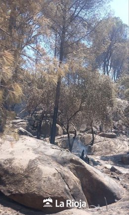 El convoy riojano desplazado a Ávila ha trabajado en el sector de Piedralaves, atendiendo a puntos calientes