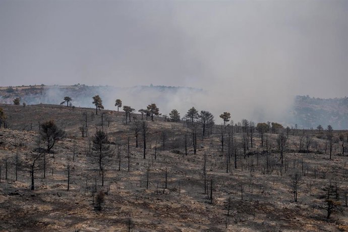 El incendio de Ejulve ha afectado a unas 1.400 hectáreas.