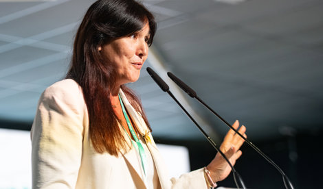 notibrasil política