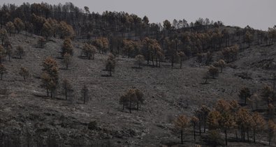 Castilla-La Mancha