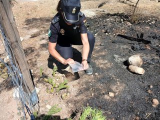 Agente en la zona del incendio del Cerro de San Miguel.