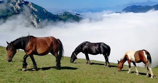 Asturias Rural