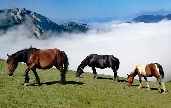 Asturias