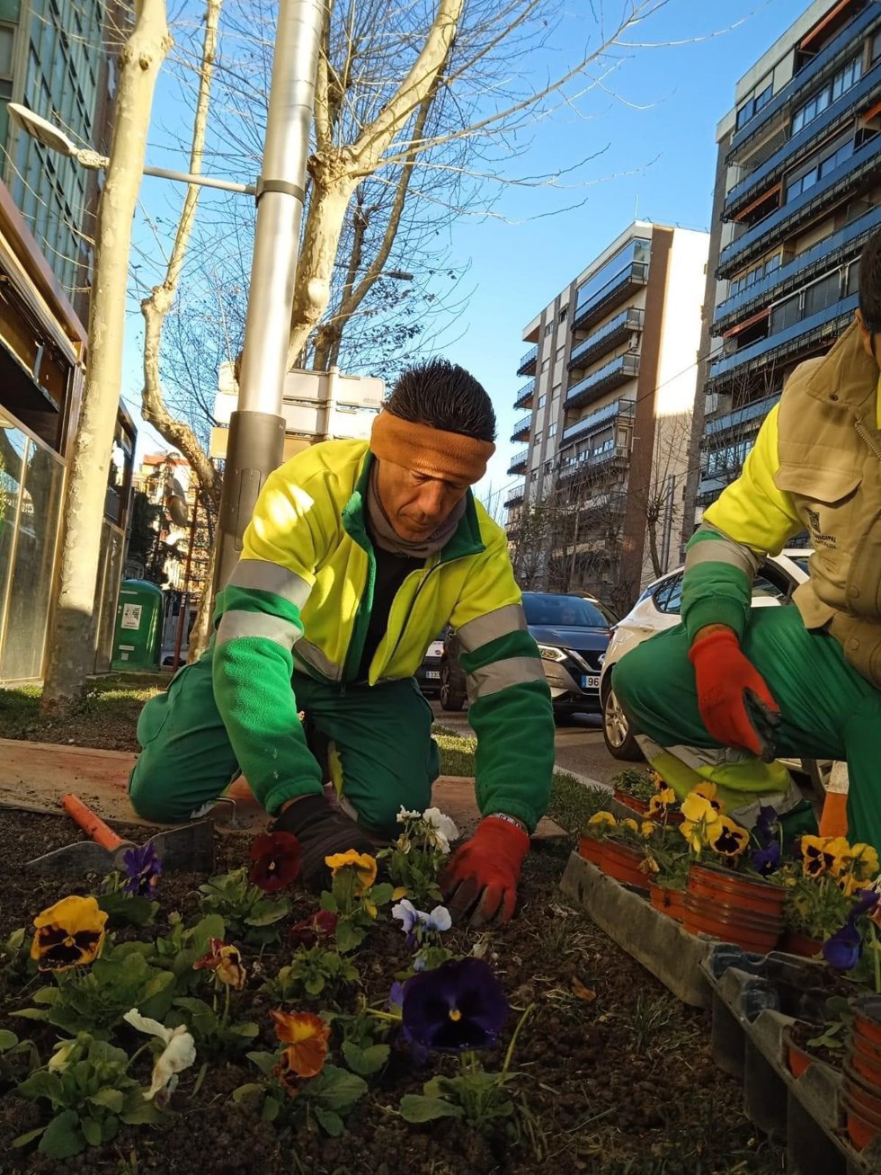 Archivo - El proyecto contempla también nuevas plantas repartidas por la ciudad