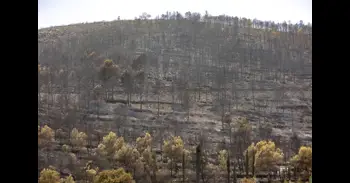 El foc de la Vall d'Uixó arrasa 9.300 hectàrees i preocupa el flanc entre Tales i Fondeguilla