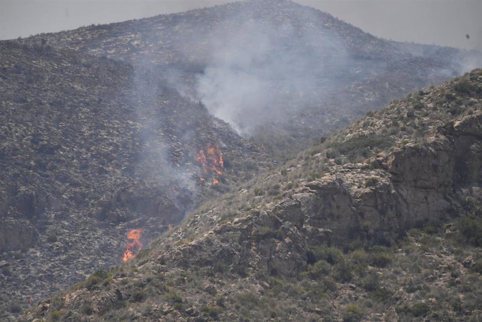 Terrenos calcinados por el incendio forestal, a 10 de julio de 2026, en Los Gallardos, Almería, Andalucía (España)