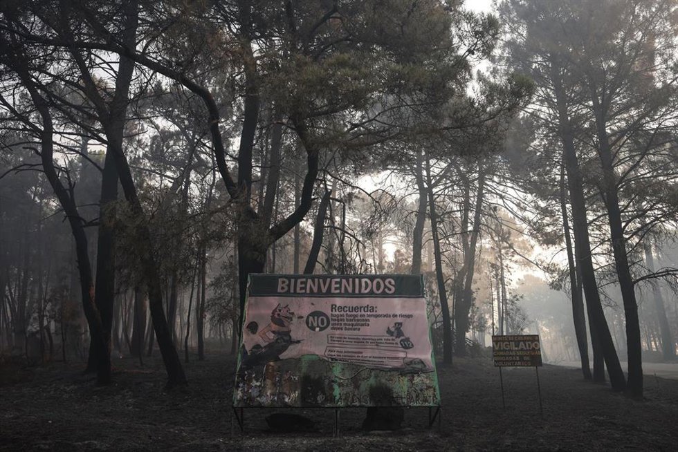 Terreno quemado por el incendio forestal a las afueras de Casavieja, a 29 de julio de 2026, en Ávila, Castilla y León (España). El director de Extinción del operativo Infocal de la Junta de Castilla y León en el incendio de Burgohondo (Ávila) ha asegurado