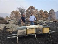 La Junta evalúa el impacto del incendio sobre la fauna, la flora y la pesca en el Valle de Iruelas (Ávila)