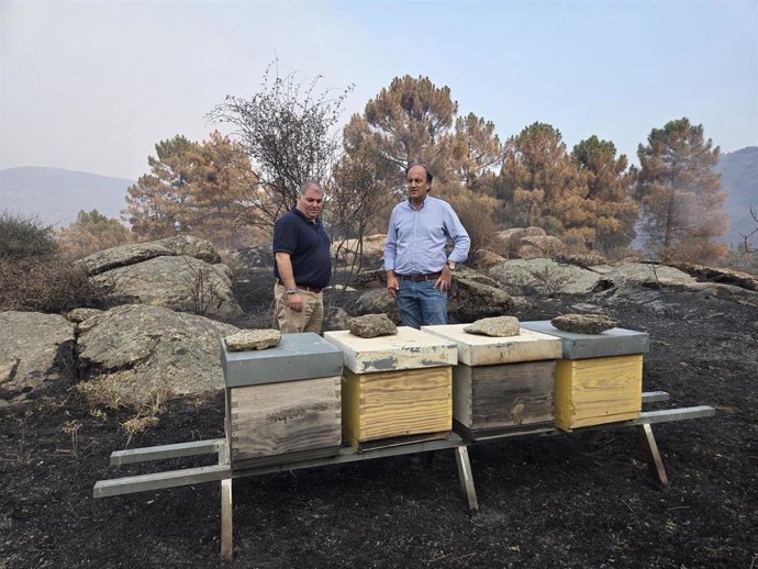 El consejero de Agricultura, Ganadería, Medio Rural y Política Ambiental, Joaquín Antonio Pino, visita el Valle de Iruelas, zona afectada por le incendio de Burgohondo (Ávila).