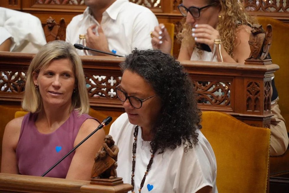 La portavoz del PSIB en el Consell de Mallorca, Catalina Cladera, en un pleno.