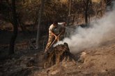 Foto: Ecologistas en Acción avisa de que los incendios están emitiendo "gran cantidad de sustancias tóxicas y cancerígenas"