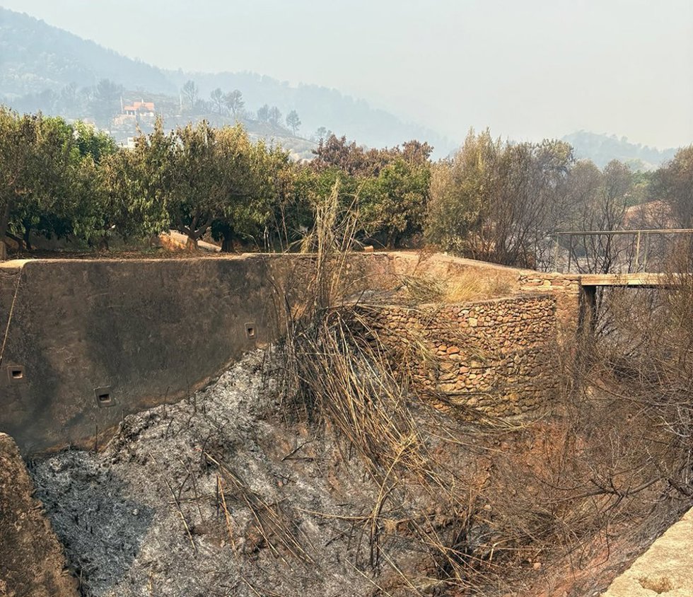 AVA-ASAJA exige a la CHJ limpiar barrancos que han propagado el fuego a los huertos