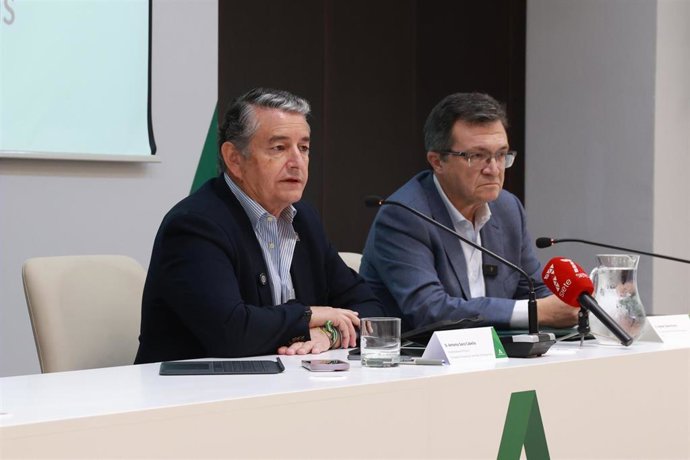 El vicepresidente primero de la Junta y consejero de Presidencia, Sanidad y Emergencias, Antonio Sanz, este miércoles en Sevilla