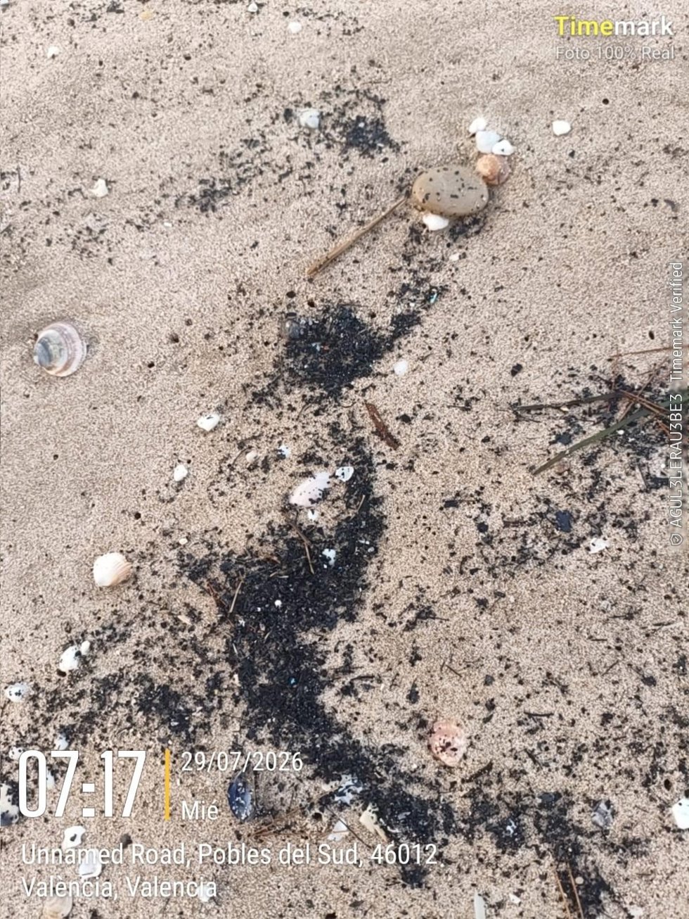 València retira restos carbonizados de los incendios de las playas del Sur