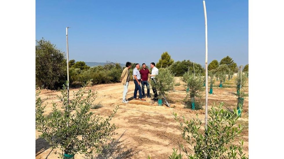 Òscar Ordeig visita las obras de ampliación del riego