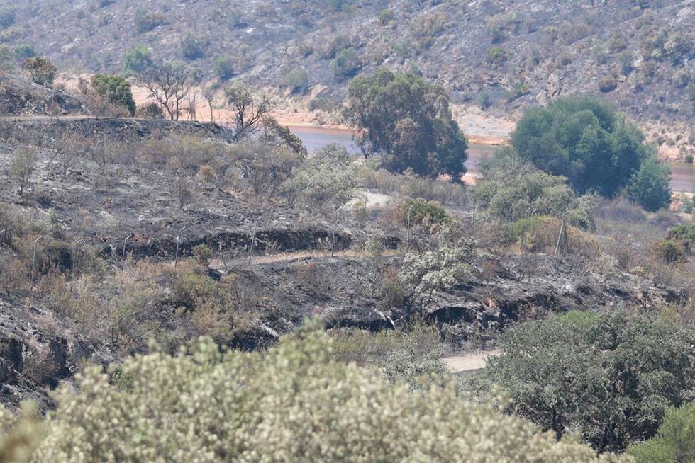 Archivo - Terreno quemado por el incendio de Villanueva de Castillejos el 10 de junio de 2026.