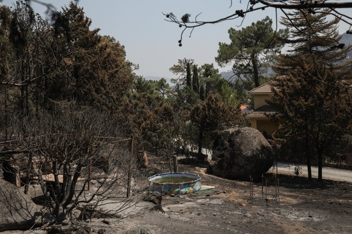 Un jardín calcinado por el incendio forestal a las afueras de Casavieja, a 29 de julio de 2026, en Ávila, Castilla y León (España).