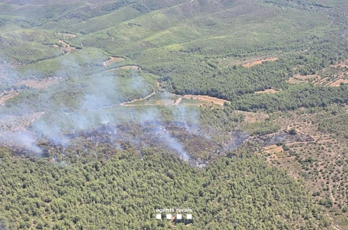 Imatge de l'incendi
