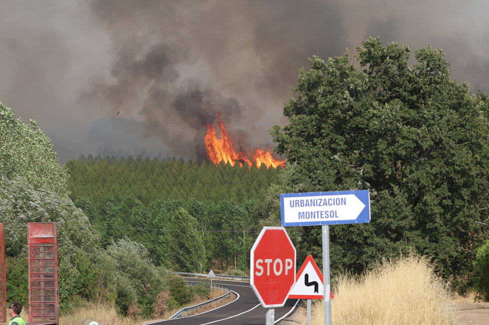 Incendio de San Cipriano del Condado (León).