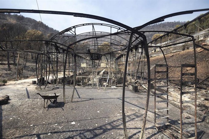 Zonas calcinadas por el incendio de la Vall d’Uixó,