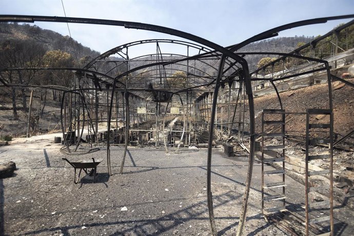 Zones calcinades per l'incendi de la Vall d'Uixó,
