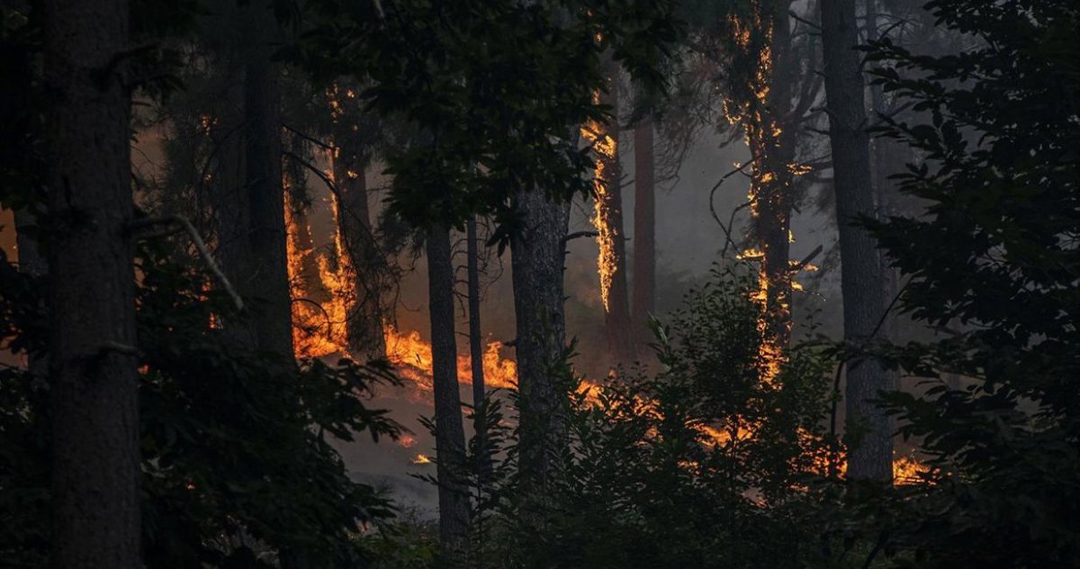 Fermoselle reduce peligro; Madrid remata focos activos de incendios