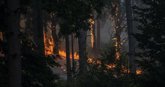 Foto: Incendios en España hoy, en directo: última hora en Madrid, Ávila y Castellón, focos activos y evacuaciones