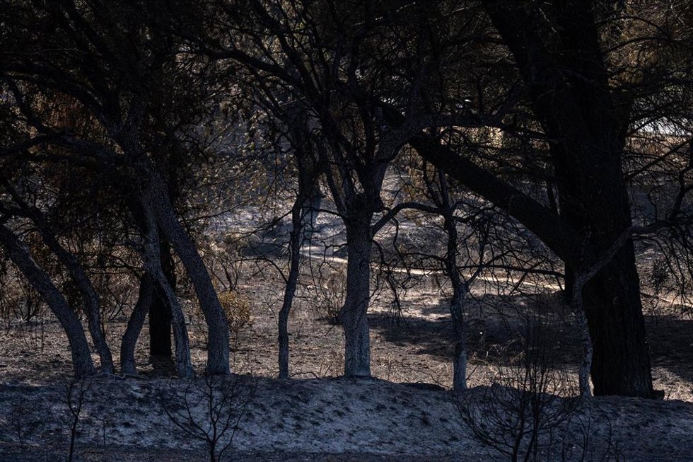Zonas calcinadas en los alrededores del Pantano de San Juan tras el paso del incendio forestal en la Sierra Oeste de Madrid, a 28 de julio de 2026, en Madrid (España). La intensa labor desarrollada durante la noche por el dispositivo de extinción ha permi