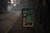 El incendio obliga a suspender la Vuelta Ciclista a Ávila