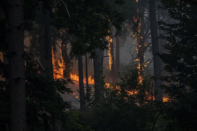 Imagem do incêndio próximo à Charca de la Nieta, em 26 de julho de 2026, em Piedralaves, Ávila, Castela e Leão (Espanha). O risco de incêndios atingirá níveis muito altos ou extremos nesta terça-feira, 28 de julho, na maior parte do país, diante de um aum