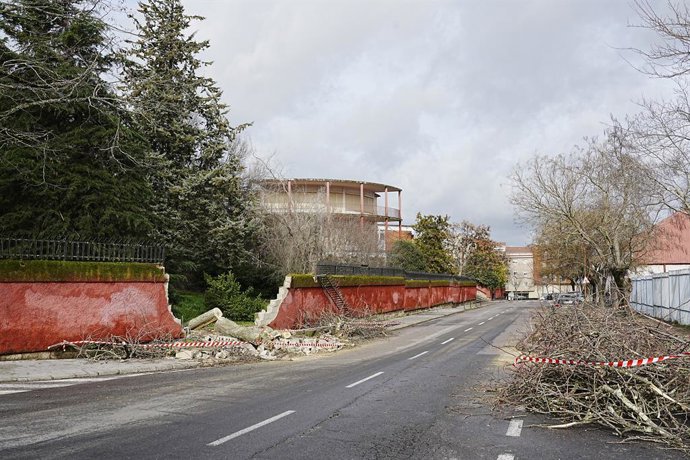 Archivo - Un árbol caído como consecuencia del viento derrumba un muro, a 28 de enero de 2026, en Cáceres, Extremadura (España). 