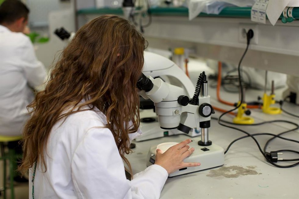 Archivo - Laboratorio de la UJA