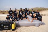 Foto: Loro Parque Fundación impulsa en Cabo Verde la formación especializada para el rescate de cetáceos varados