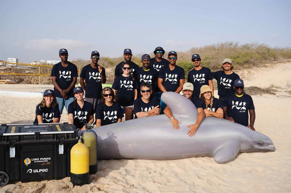 Loro Parque impulsa en Cabo Verde la formación especializada para el rescate de cetáceos varados