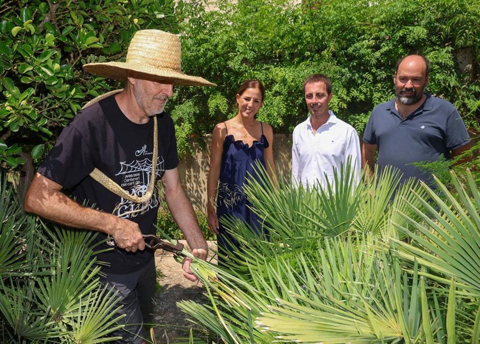 Palma, con autoridades del Consell al fondo
