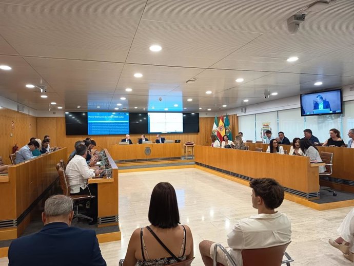 Pleno ordinario de la Diputación de Sevilla