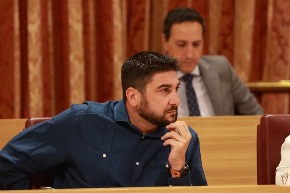 El portavoz adjunto del Grupo Municipal Podemos-Izquierda Unida, Ismael Sánchez. Archivo.