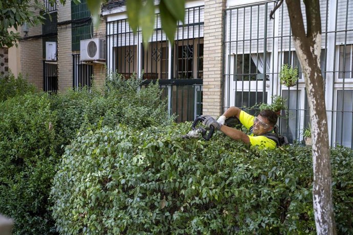 Trabajador de arbolado de Mairena del Aljarafe