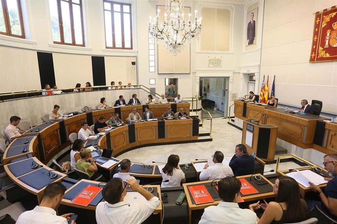 Ple de la Diputació d'Alacant