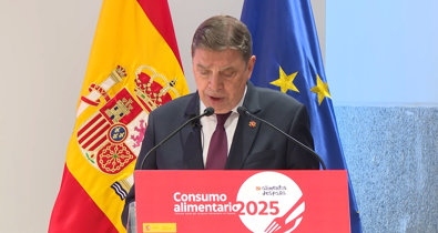 Vídeos