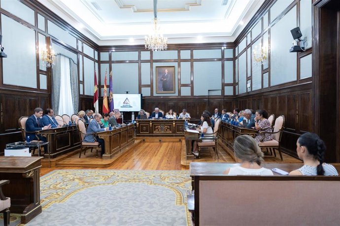 Pleno extraordinario en la Diputación de Guadalajara.